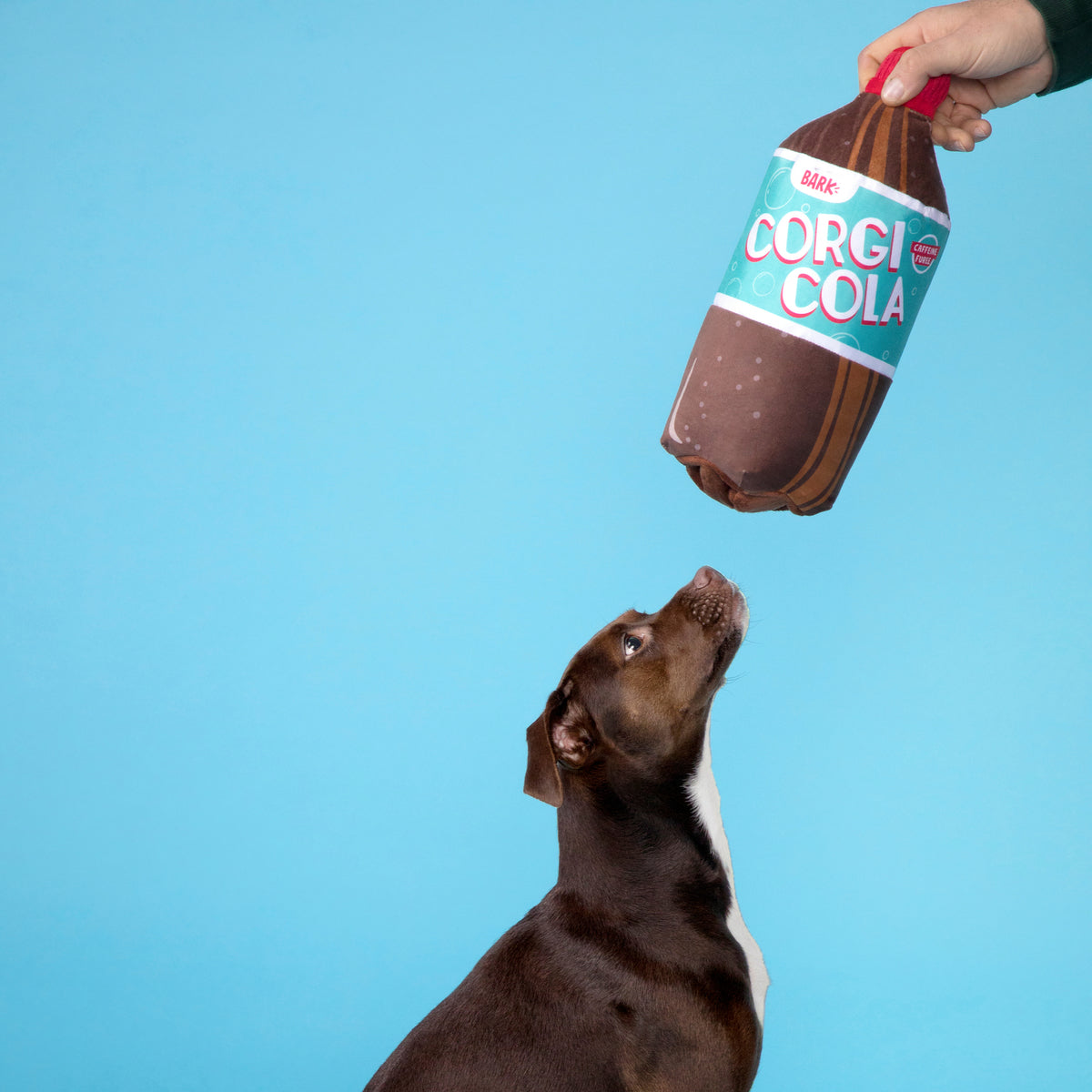 Corgi Cola Plush Dog Toy