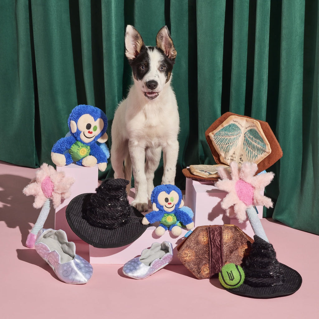 Glinda's Good Wand Plush Tug Dog Toy