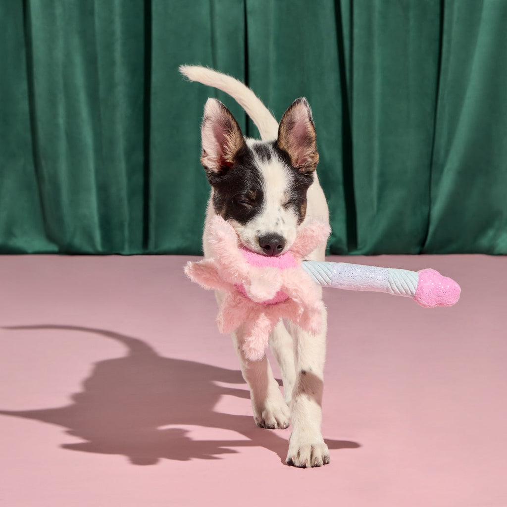 Glinda's Good Wand Plush Tug Dog Toy