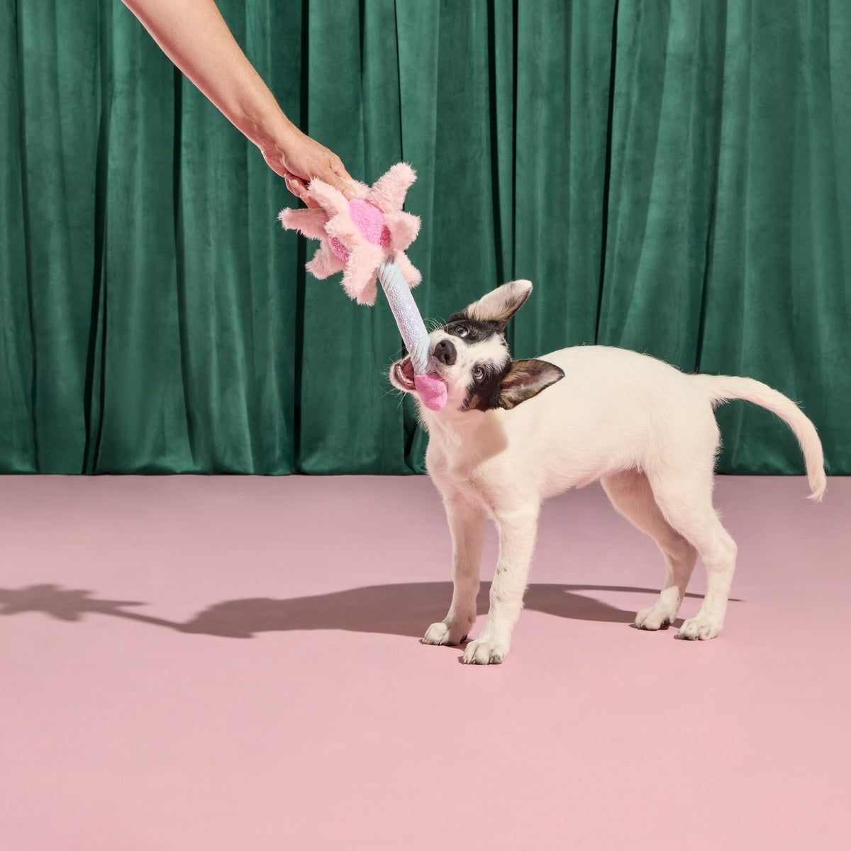 Glinda's Good Wand Plush Tug Dog Toy