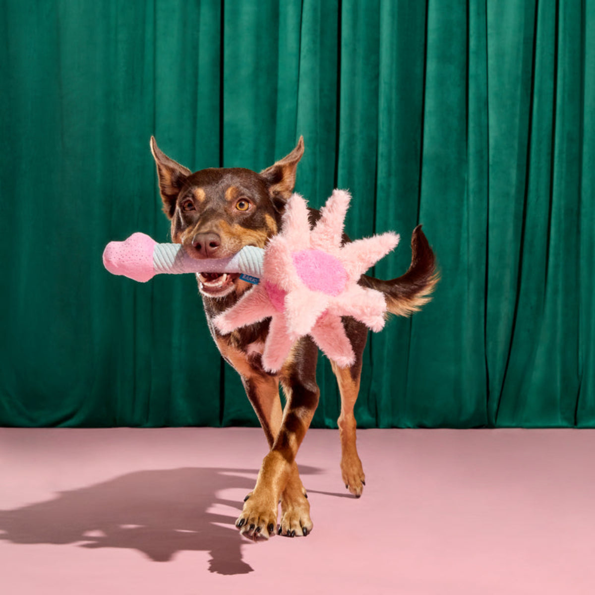 Glinda's Good Wand Plush Tug Dog Toy