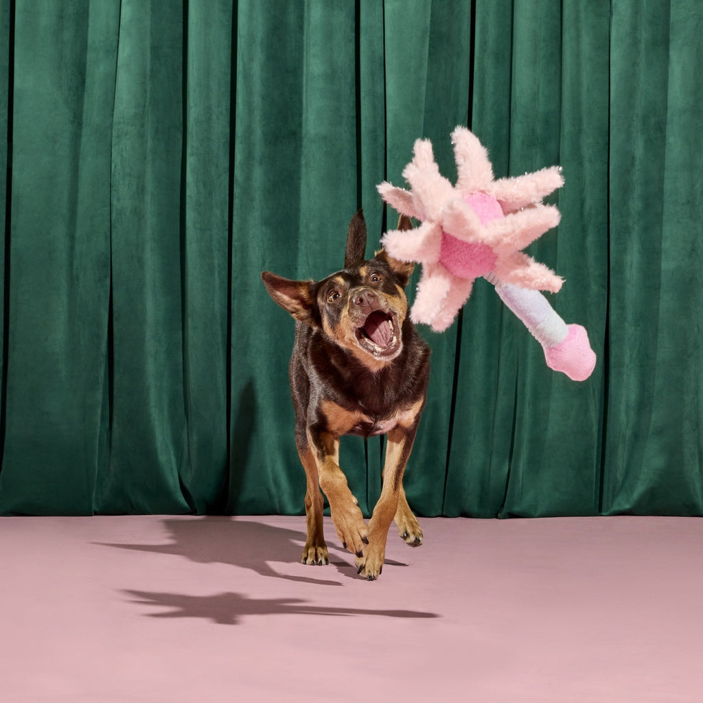 Glinda's Good Wand Plush Tug Dog Toy