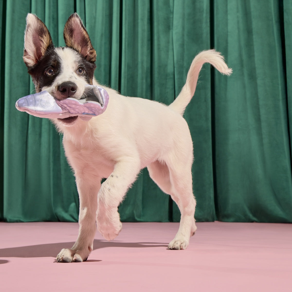 Nessa's Squeakin' Slipper Plush Enrichment Dog Toy