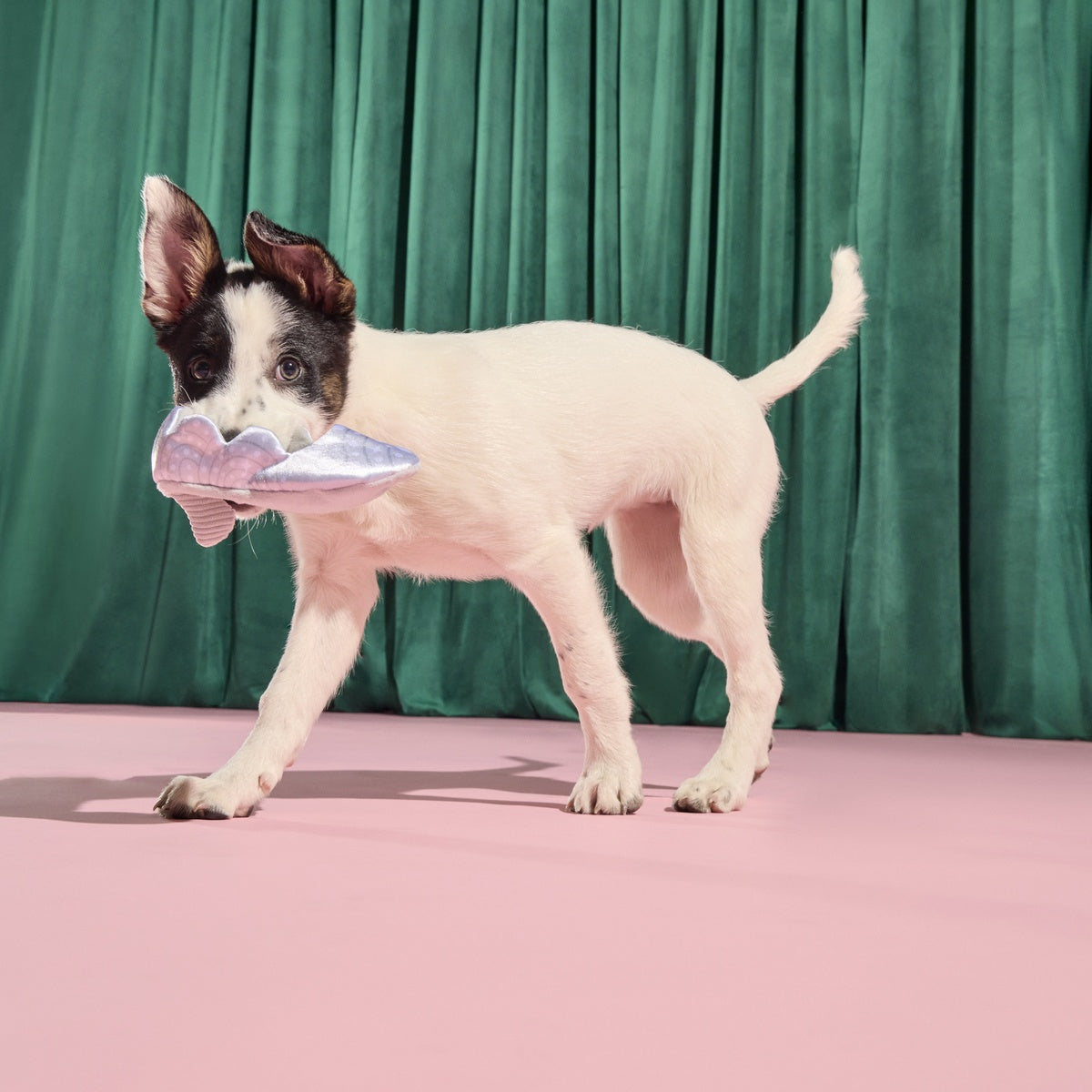 Nessa's Squeakin' Slipper Plush Enrichment Dog Toy