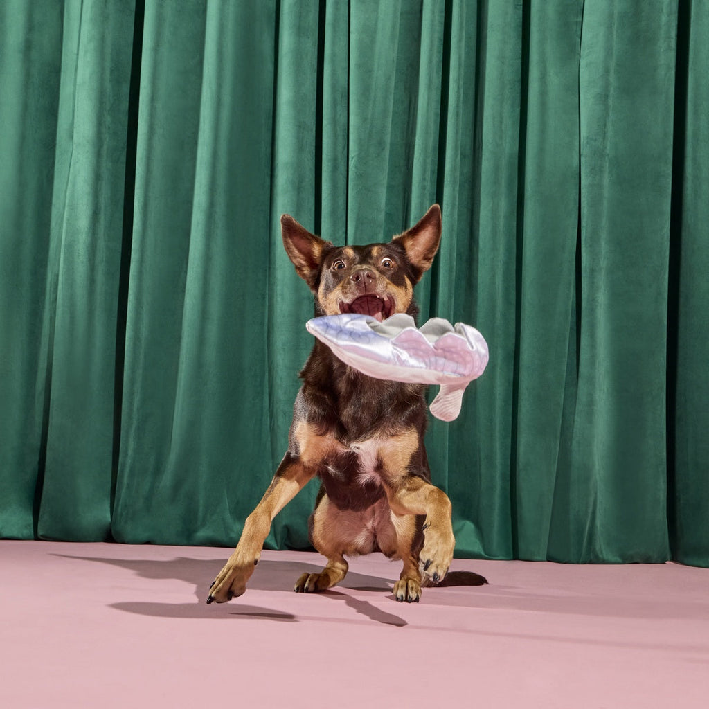 Nessa's Squeakin' Slipper Plush Enrichment Dog Toy