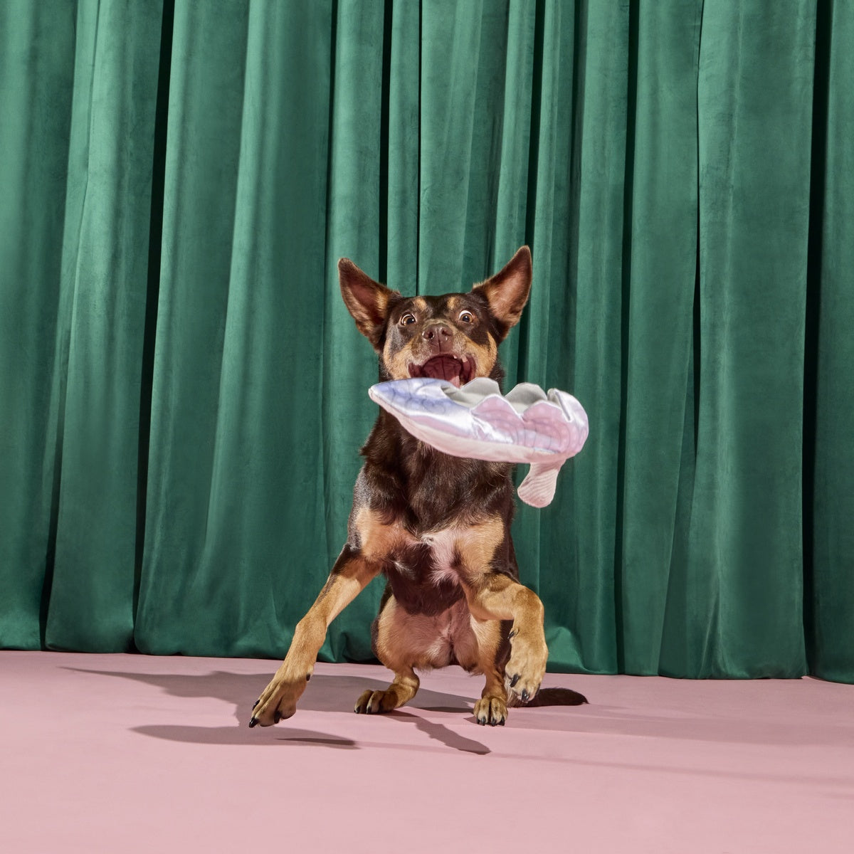 Nessa's Squeakin' Slipper Plush Enrichment Dog Toy