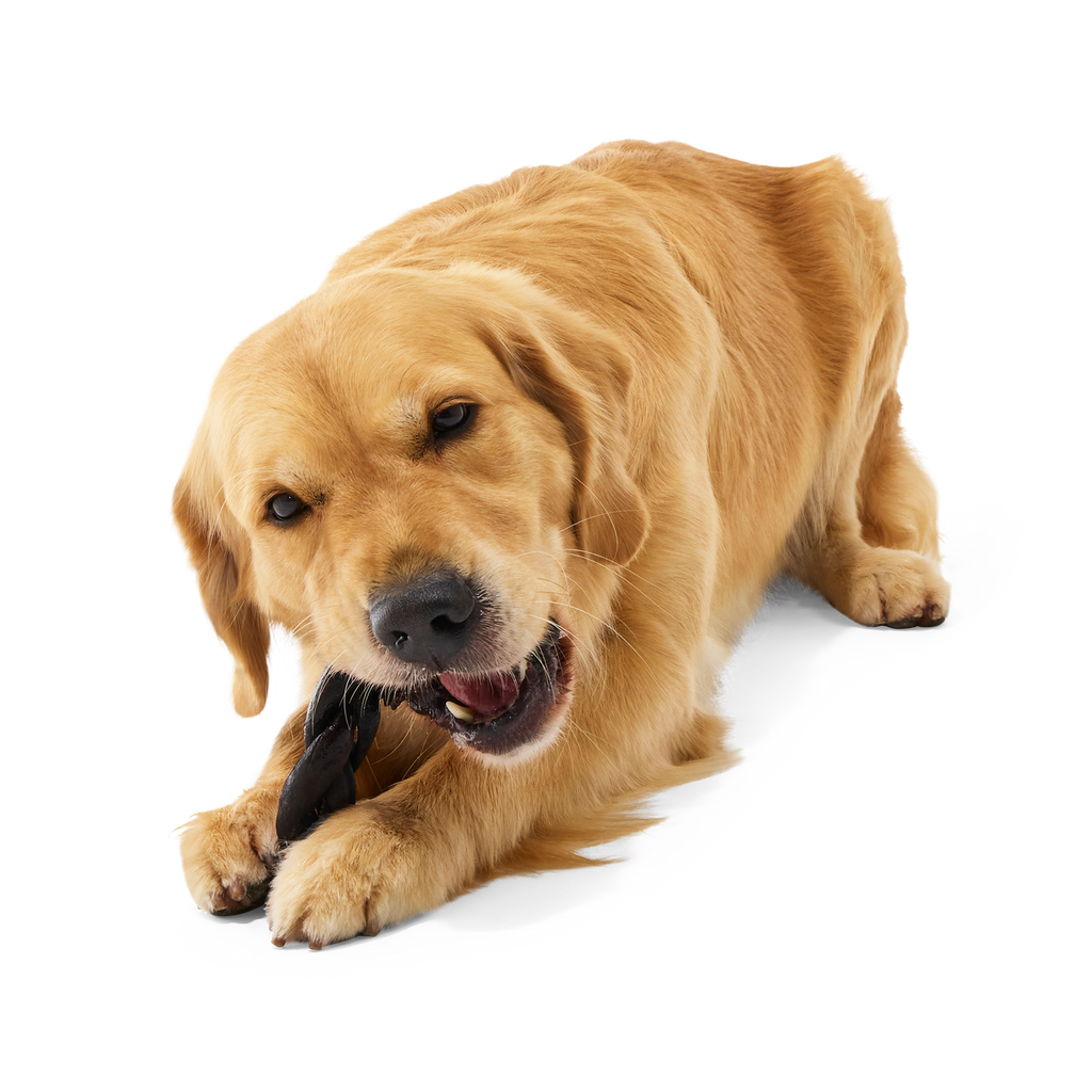 Beef Braided Collagen Dog Chews, 5 Ct