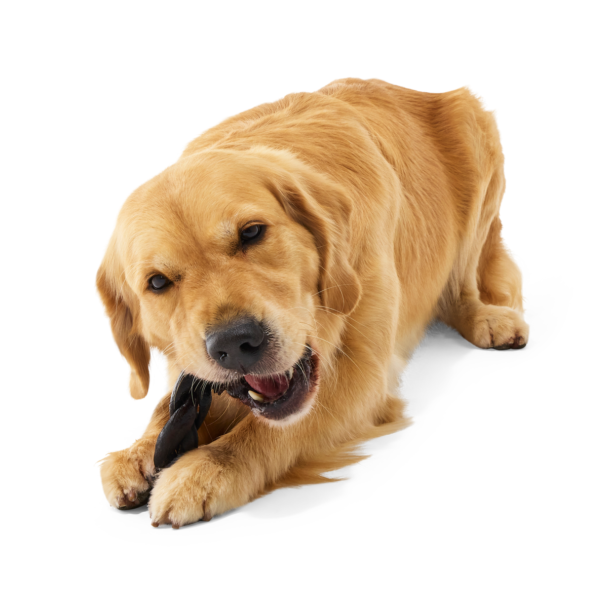 Beef Braided Collagen Dog Chews, 5 Ct