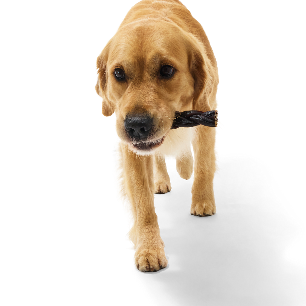 Beef Braided Collagen Dog Chews, 5 Ct