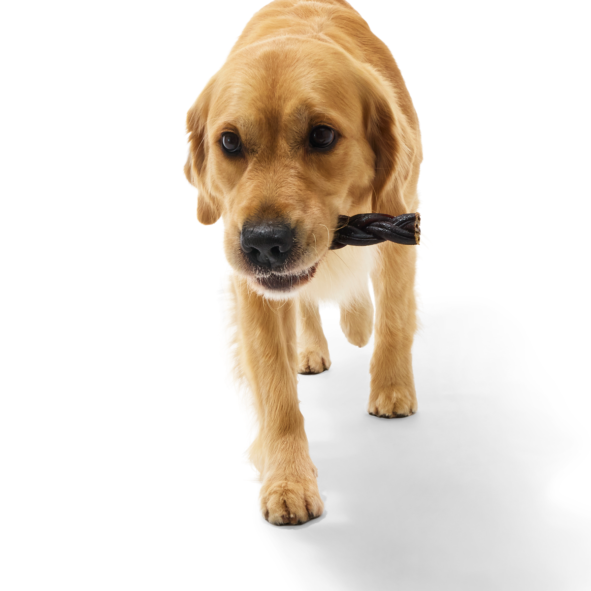 Beef Braided Collagen Dog Chews, 5 Ct