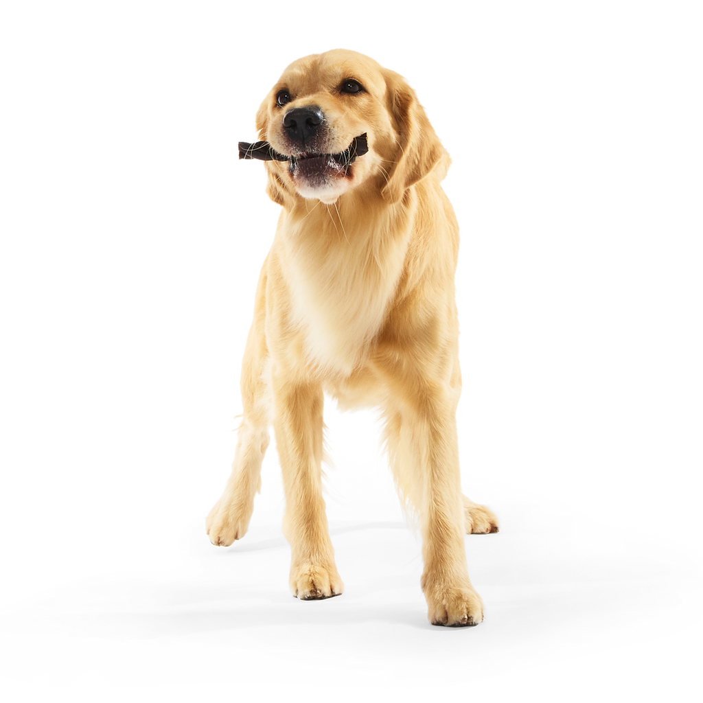 Beef Braided Collagen Dog Chews, 5 Ct