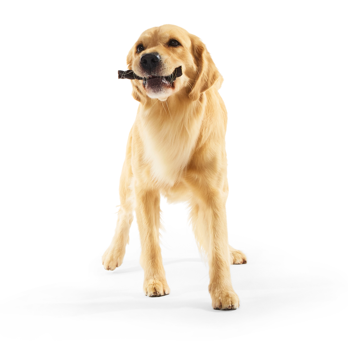 Beef Braided Collagen Dog Chews, 5 Ct