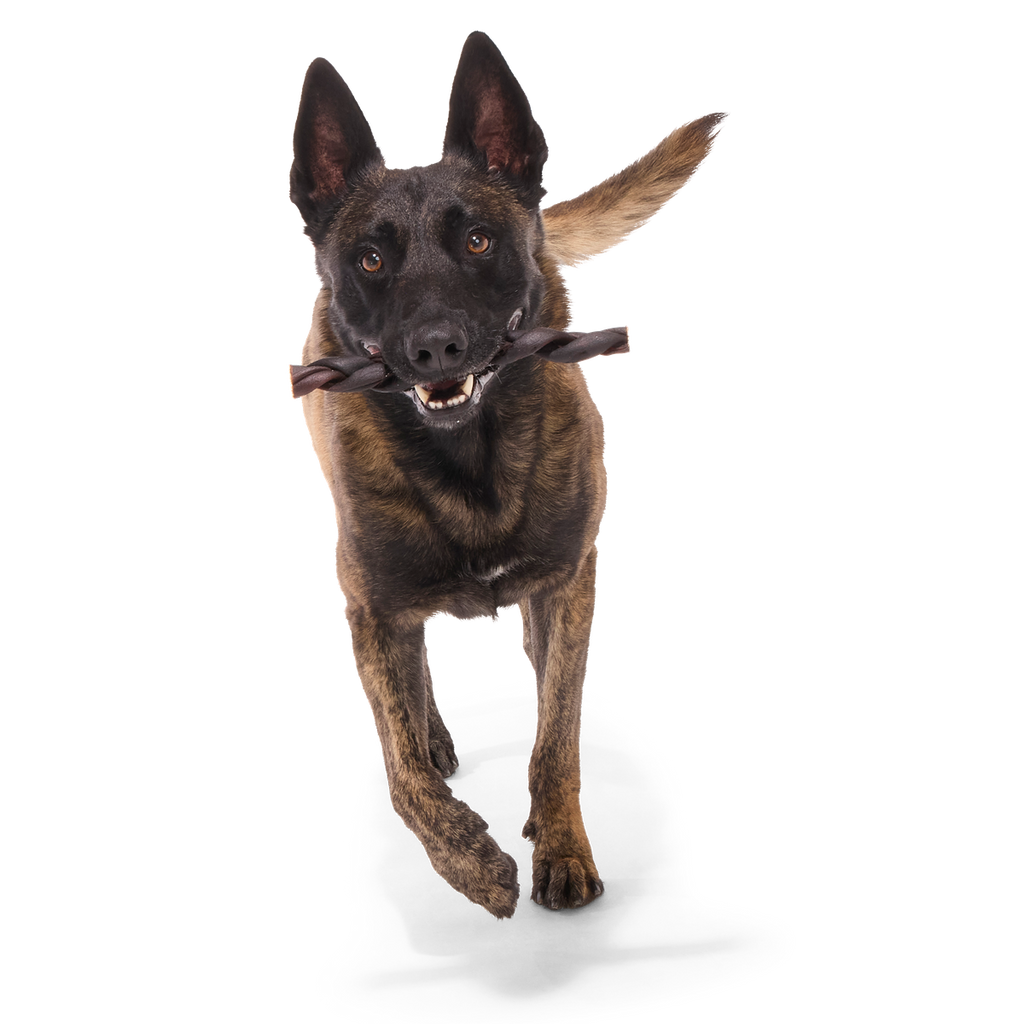 Beef Braided Collagen Dog Chews, 5 Ct