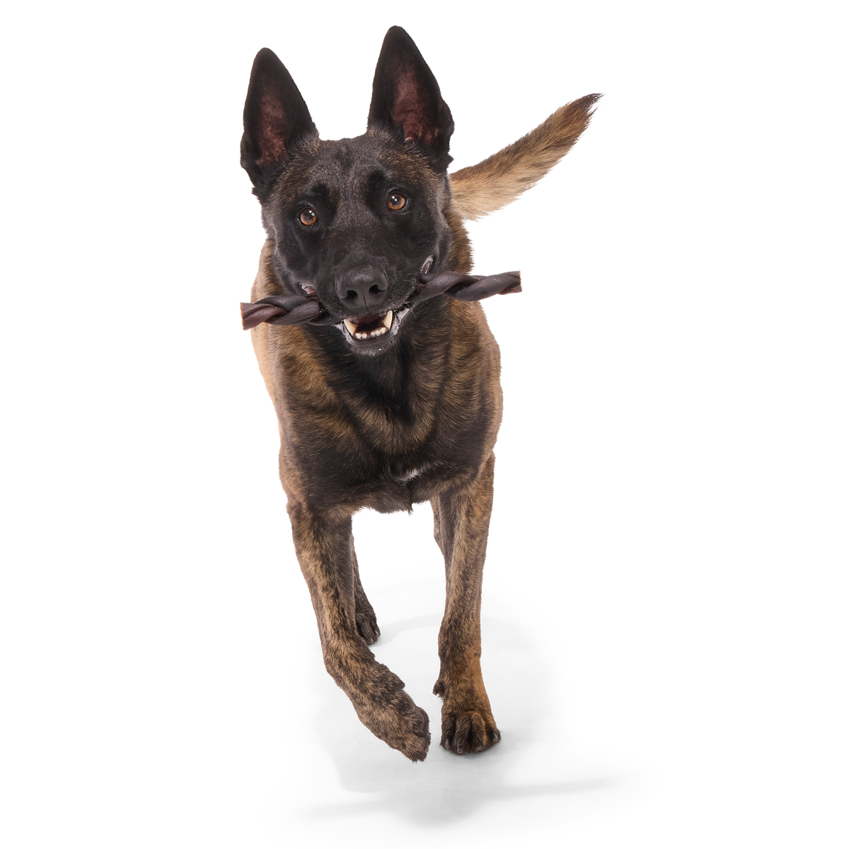 Beef Braided Collagen Dog Chews, 5 Ct