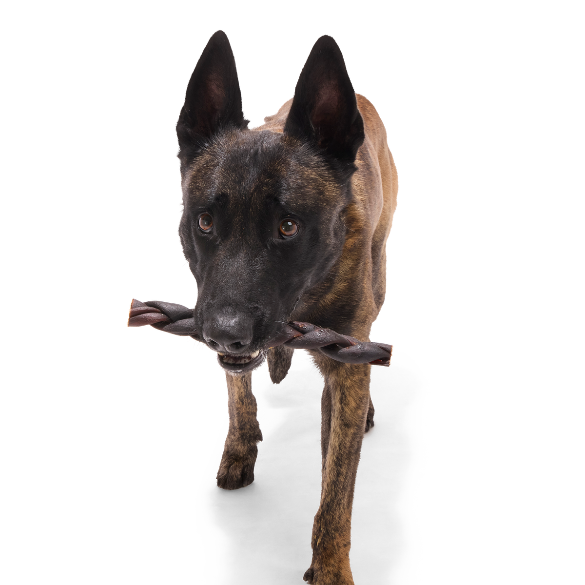 Beef Braided Collagen Dog Chews, 5 Ct