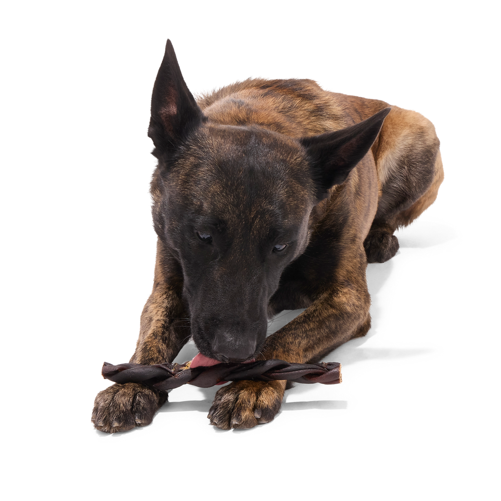 Beef Braided Collagen Dog Chews, 5 Ct