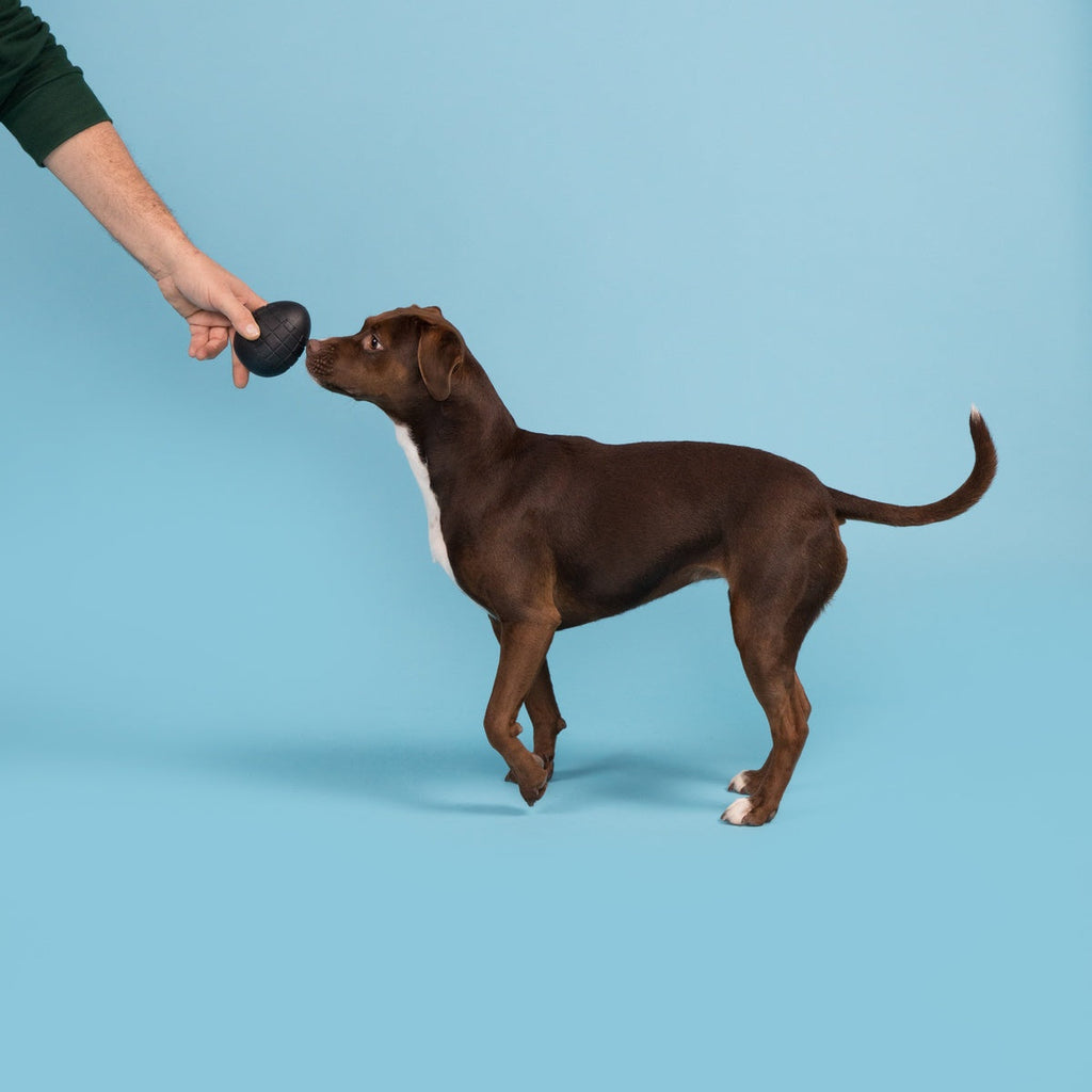 Origin Super Chewer Durable Fetch Dog Toy