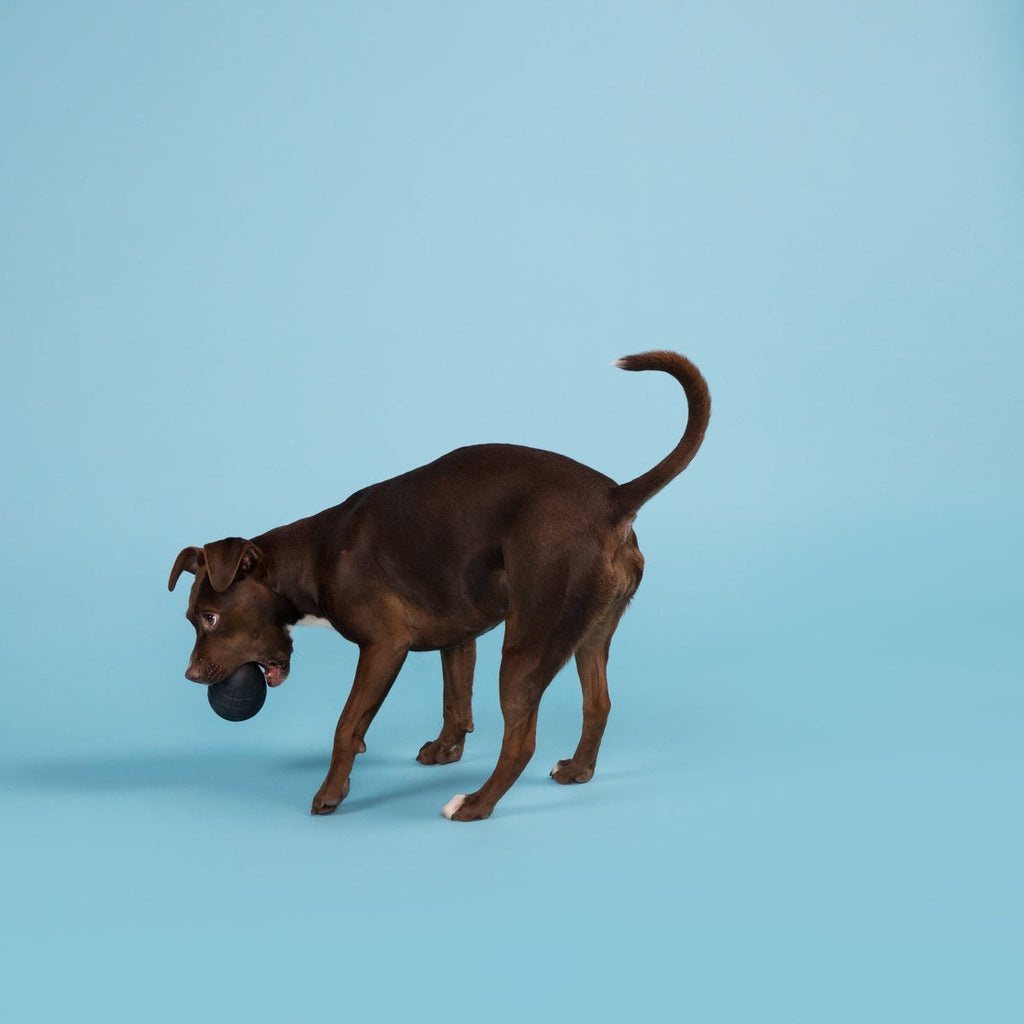 Origin Super Chewer Durable Fetch Dog Toy