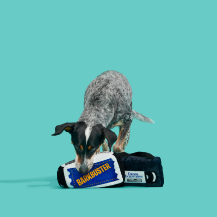 BARKBuster Video Plush Tug Dog Toy