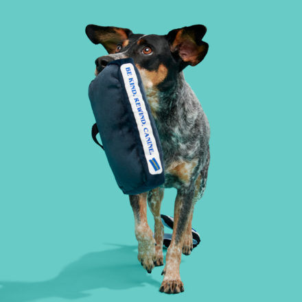 BARKBuster Video Plush Tug Dog Toy